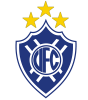 民主队